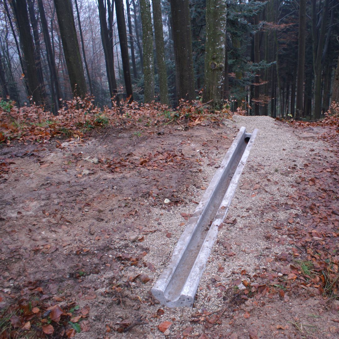 Wasserrinne im Wald